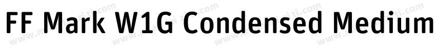 FF Mark W1G Condensed Medium字体转换